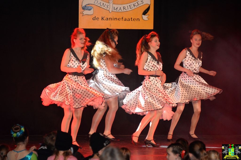 ../Images/Dansmarieke festival 2018 426.jpg